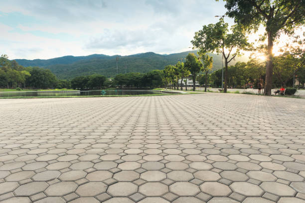 Best Professional Driveway Pavers  in Coos Bay, OR