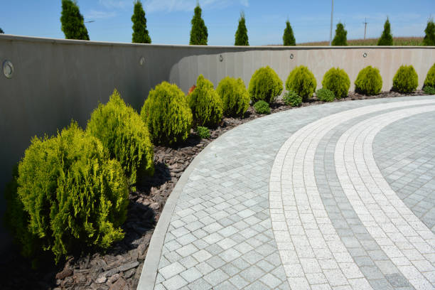 Best Driveway Paving Near Me  in Coos Bay, OR